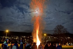CHRISTBAUM VERBRENNEN 2020